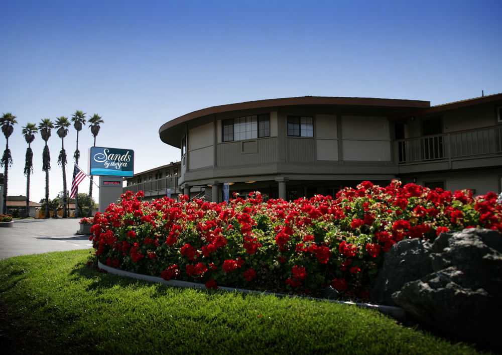 Sands By The Sea Motel San Simeon Exterior foto